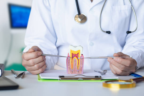 Best Emergency Dentist for Lost Fillings or Crowns in Cedar Springs, MI